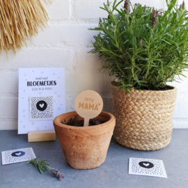 Plantensteker voor mama