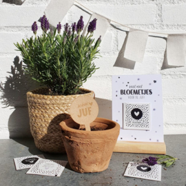 Plantensteker | Bedankt juf
