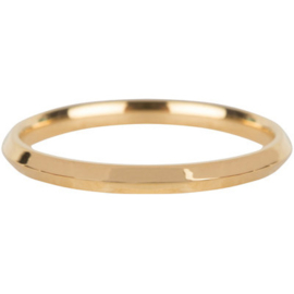 Charmin*s Ring Basic Hooked Gold Steel R668