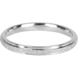Charmin*s Ring Sanded And Shiny Steel R563