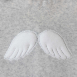 Baby Gi newborn pakje vleugels grijs velours (unisex)