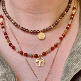 Sterrenbeeld ketting (zilver en goud)