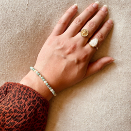 Wilskracht en succes (Amazoniet en Jade)