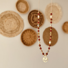 Sterrenbeeld ketting (zilver en goud)
