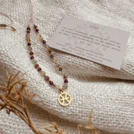 Sterrenbeeld ketting (zilver en goud)