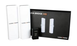 Luda Bridge 300