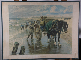 Het schelpenvisschen