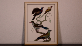 Vogelplaatje 2 Litho