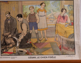 Cesar de trouwe hond