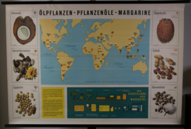 Olierijke planten