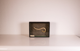 Vintage oude school  vitrine kastje  - Hazelworm .