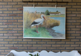 Ooievaar