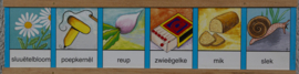 Leesplankje Dialect – Wieerter Laesplenkske versie 1