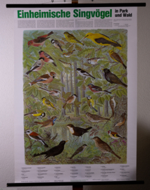 Zangvogels oa Wielewaal en Goudvink