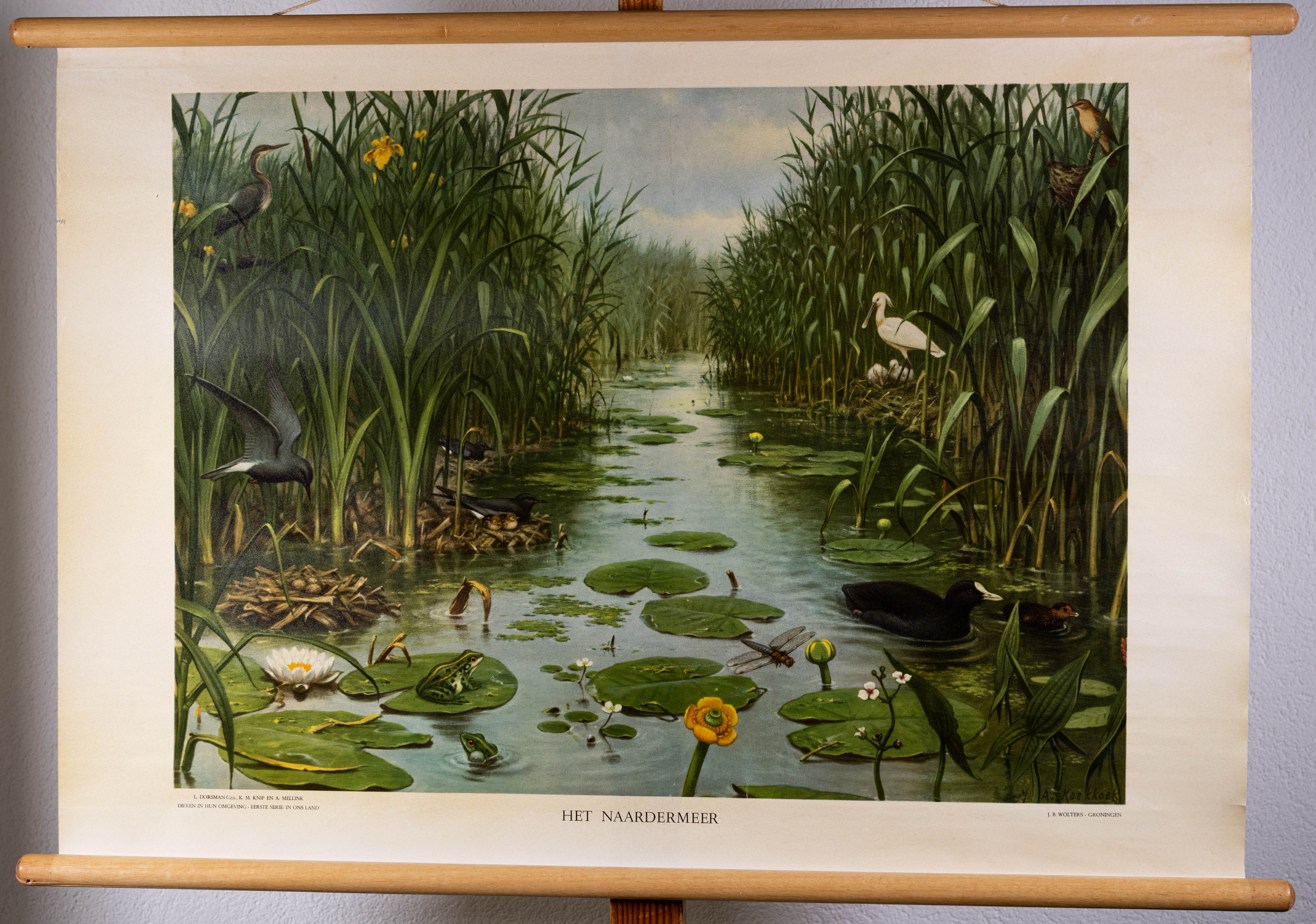 Het Naardermeer