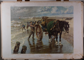 Het schelpenvisschen