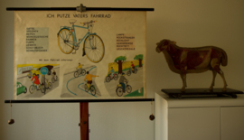 Op de fiets door de stad