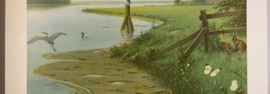 Aan de rivier