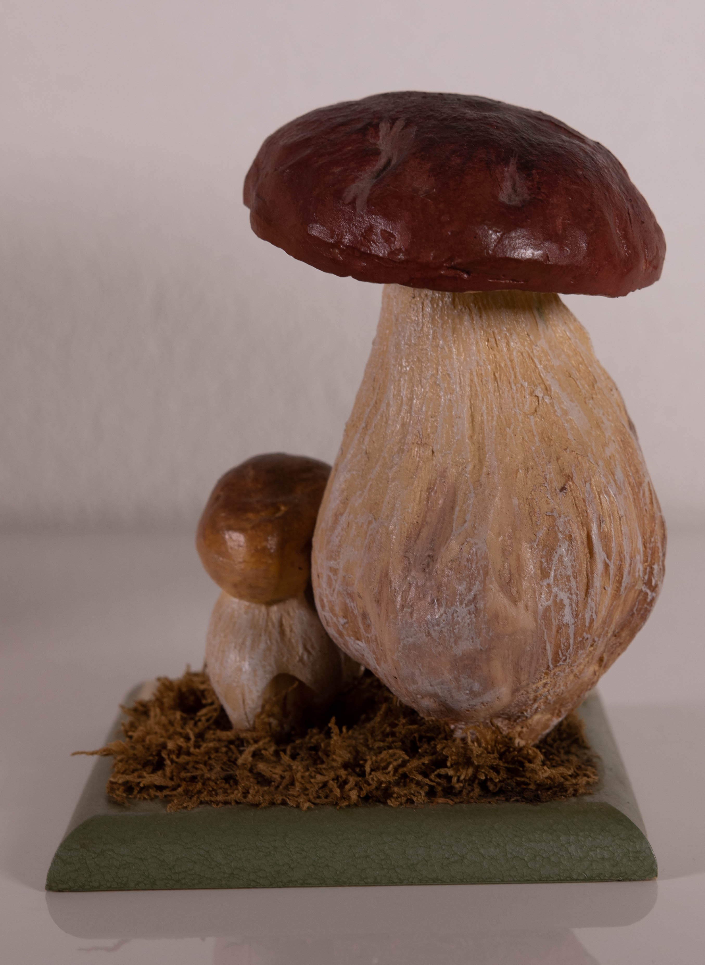 Boletus Edulis Bull