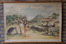 Arubaans Koenoekoehuis met de Hooiberg