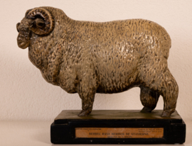 Schaap de Stavropol Merino Ram