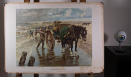 Het schelpenvisschen