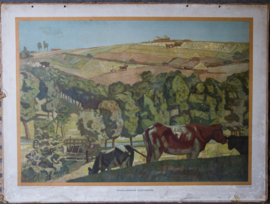 Heuvellandschap Zuid Limburg