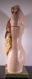Torso Somso €500