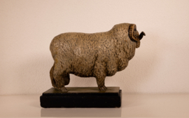 Schaap de Stavropol Merino Ram