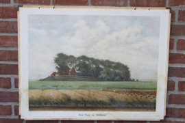 Een terp bij Dokkum