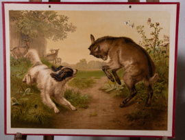 Hond en bokje