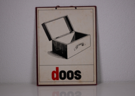 Doos