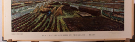 Een laagveengebied in Friesland  Beets