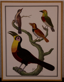 Vogelplaatje 3 Litho