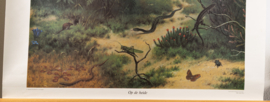 Op de heide