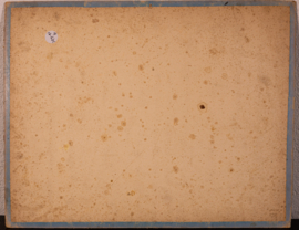 Schreiber Das Kangoeroe