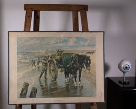 Het schelpenvisschen