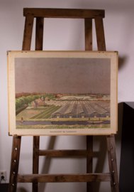 Groenteteelt bij Loosduinen