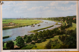 De Rijn