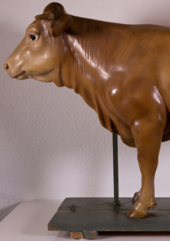 Oude vintage anatomische koe van Somso.