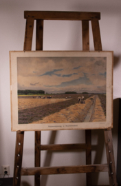Heideontginning in Noord Brabant