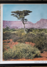 Tafelberg Kalahari