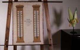 Thermometer