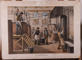 De Zeepzieder