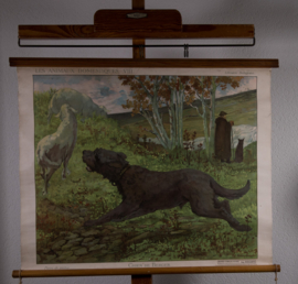 Herder schapen