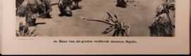 Kleynenberg Nederlands Indie  nr.66
