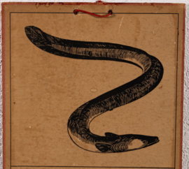 Aal