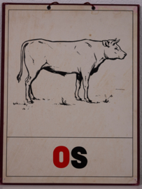 Os