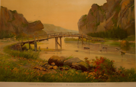 Landschap in het dal van de Ourthe
