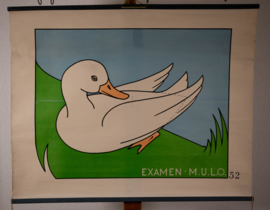 Eend